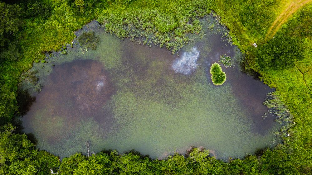 Photograph by Валентин Кольцов