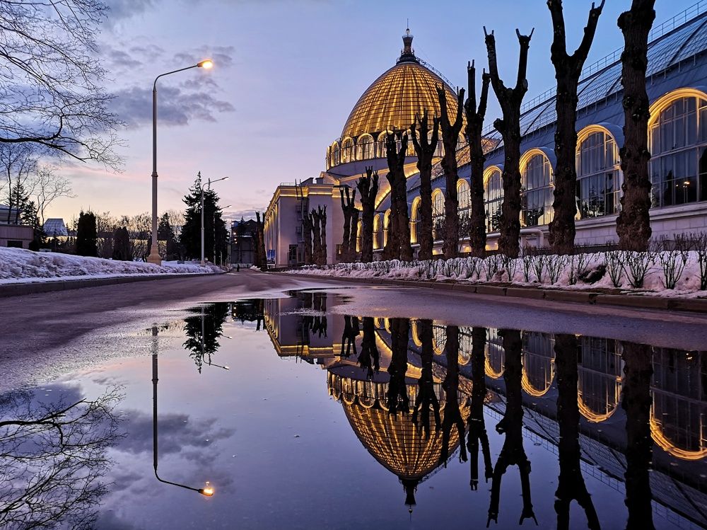 Photograph by Natali