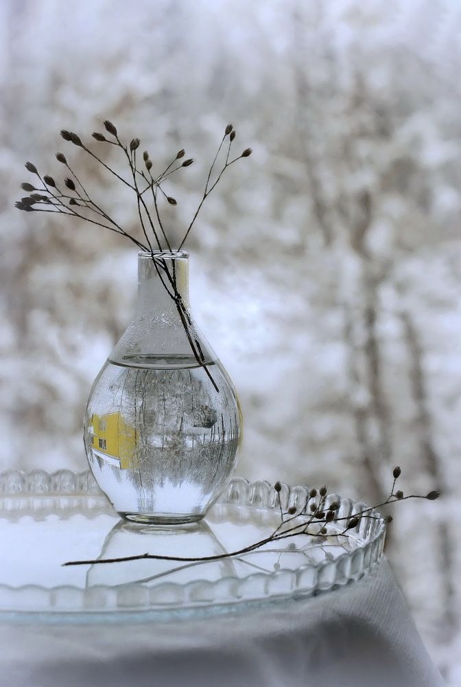 Photograph by Liliya Rodionova