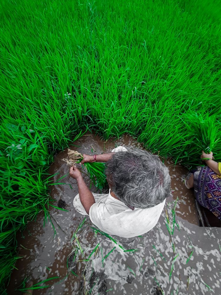 Фотография автора Jayesh Rajput