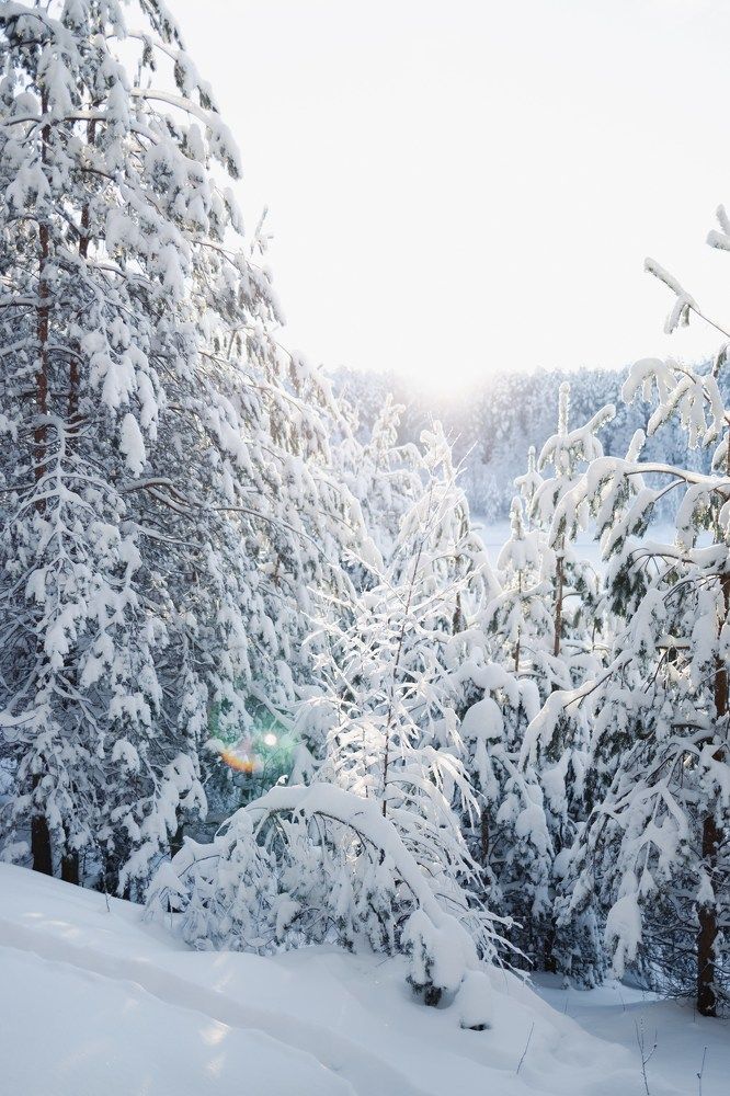 Photograph by Viktorija Lisicina