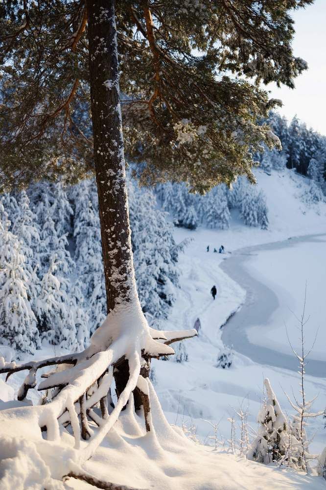 Photograph by Viktorija Lisicina