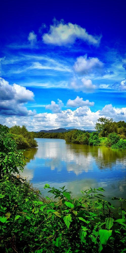 Photograph by Ruchika Kalangutkar