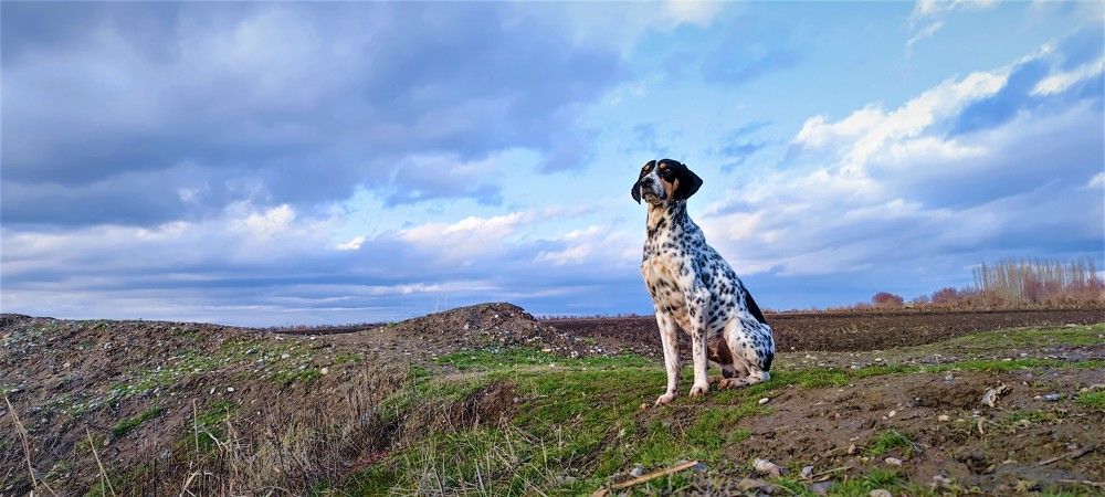 Photograph by Yuriy  Korsuntsev