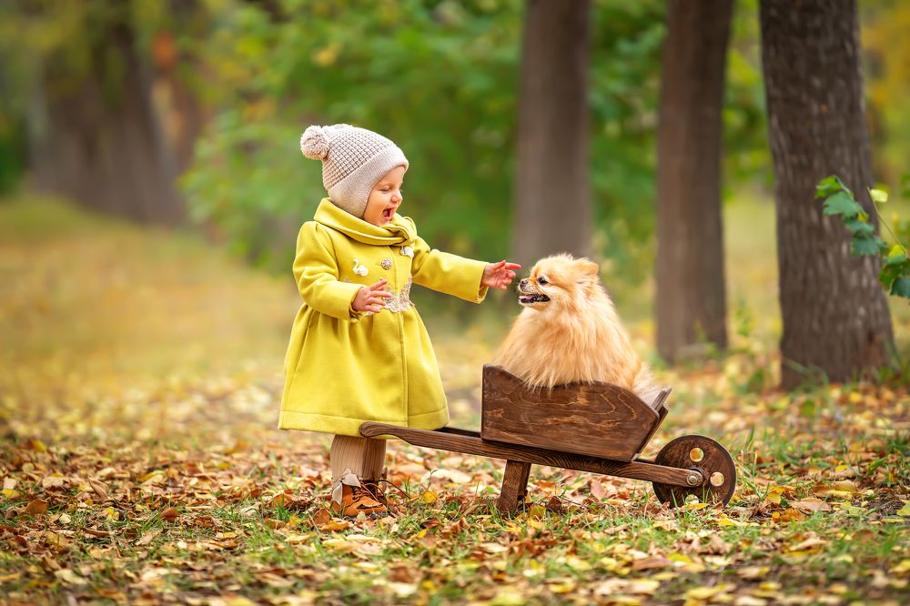 Photograph by Катерина Ковач