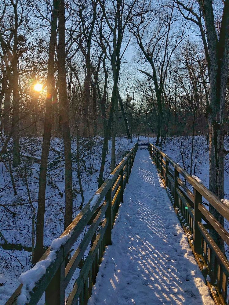 Фотография автора Qassem Ahmed Alzarra
