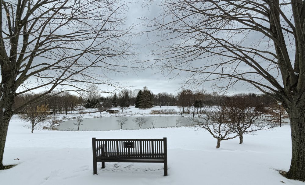 Фотография автора Qassem Ahmed Alzarra