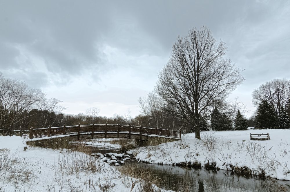 Фотография автора Qassem Ahmed Alzarra