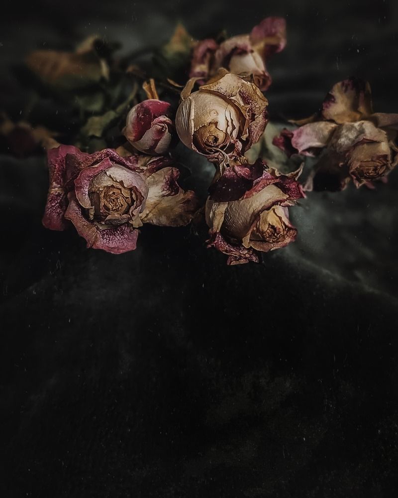 Photograph by Helen Ka