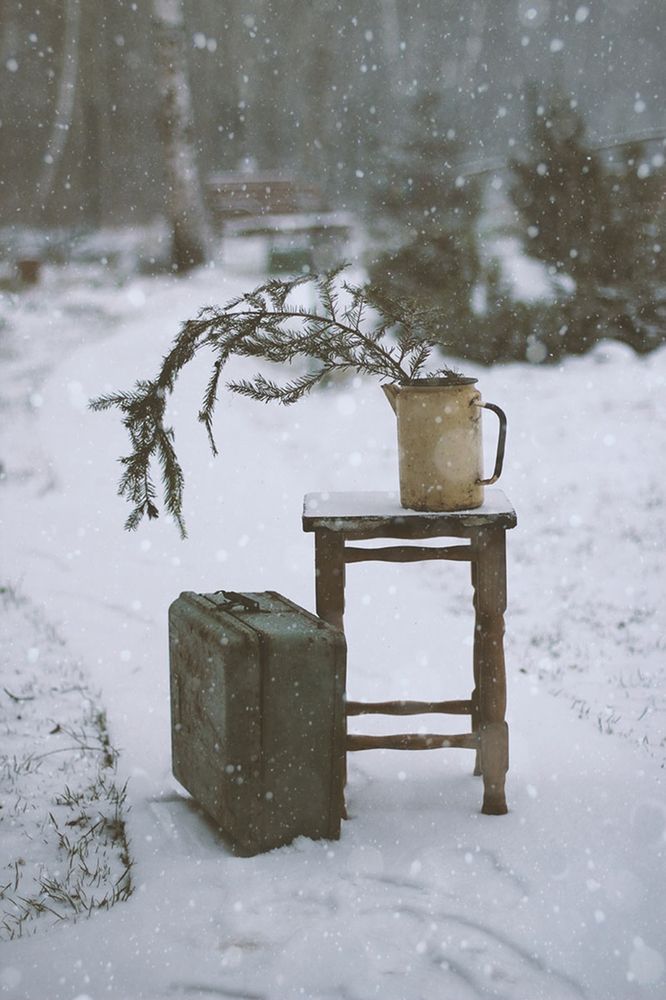 Photograph by Liliya Rodionova