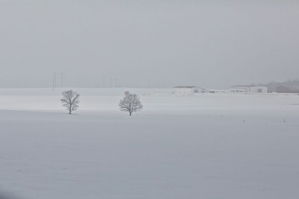 Фотография автора Наталья Васько -Черданцева