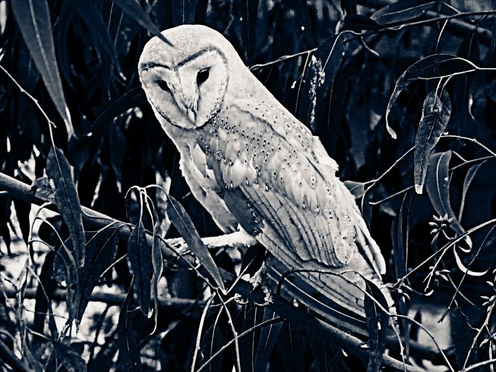 Photograph by Сергей Рапопорт