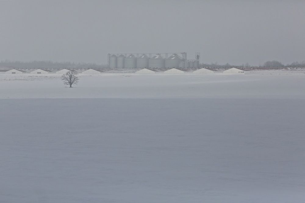 Фотография автора Наталья Васько -Черданцева