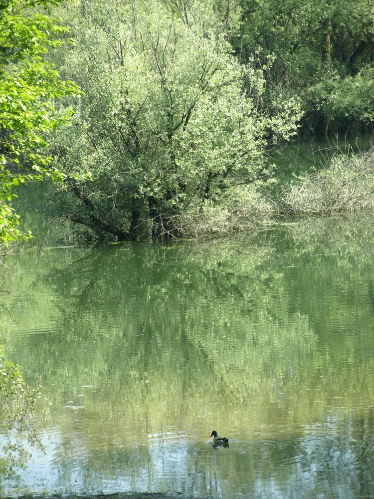 Фотография автора Ivana Kolenc