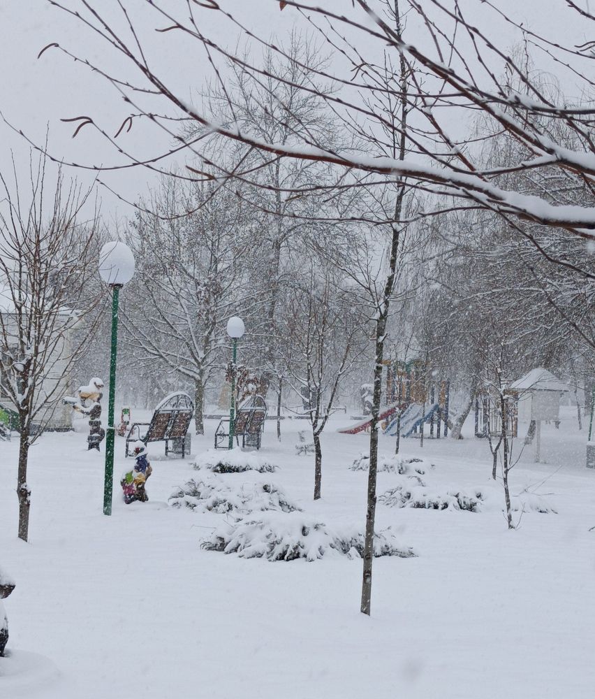 Фотография автора Татьяна Долгушева