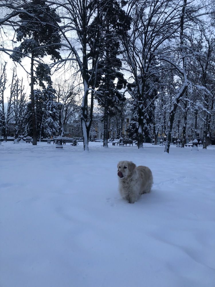 Photograph by Лариса Куторжевская