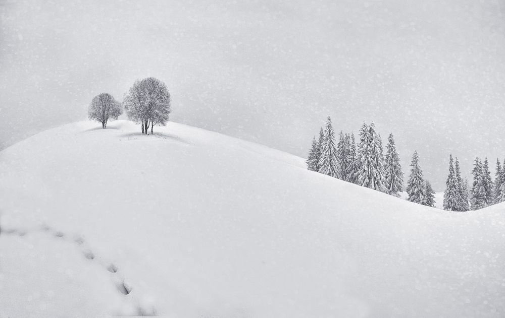 Photograph by Petya Lazarova