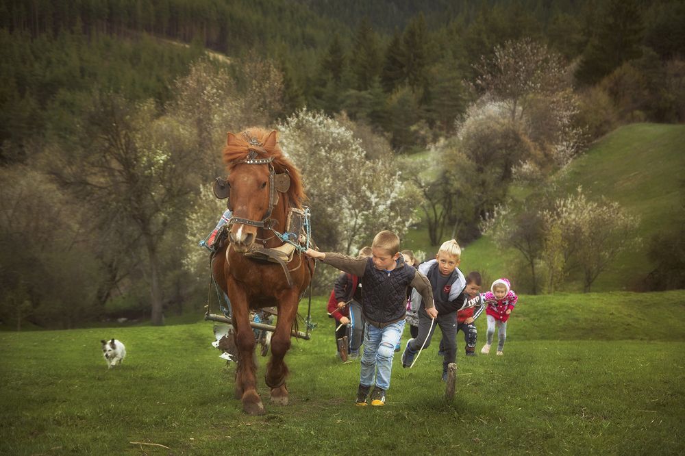 Photograph by Petya Lazarova