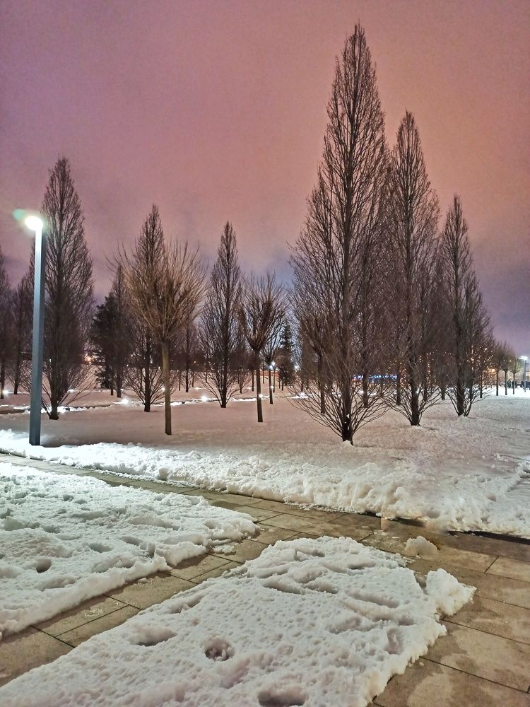 Фотография автора Татьяна Долгушева