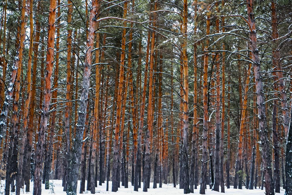 Photograph by Артем Гельм