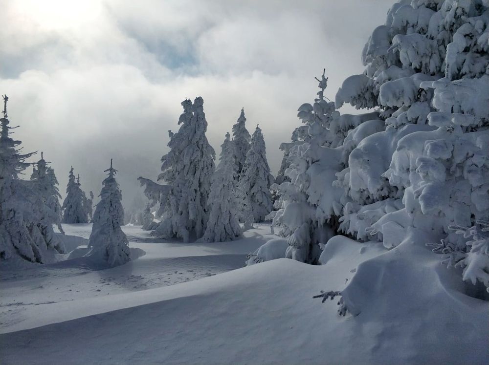 Photograph by Liliya Rodionova