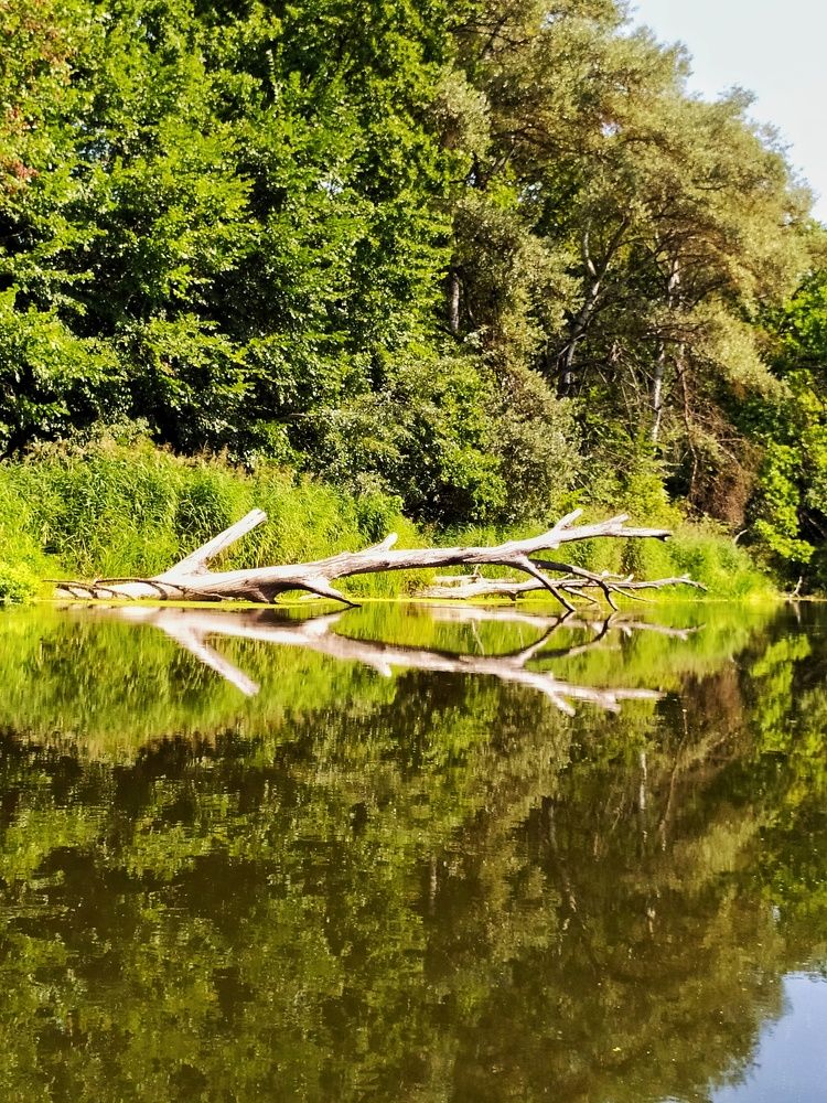 Photograph by Анна Пилипенко