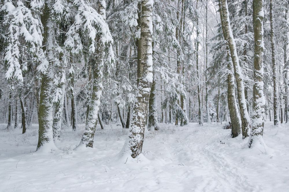 Photograph by Сипаева Катерина