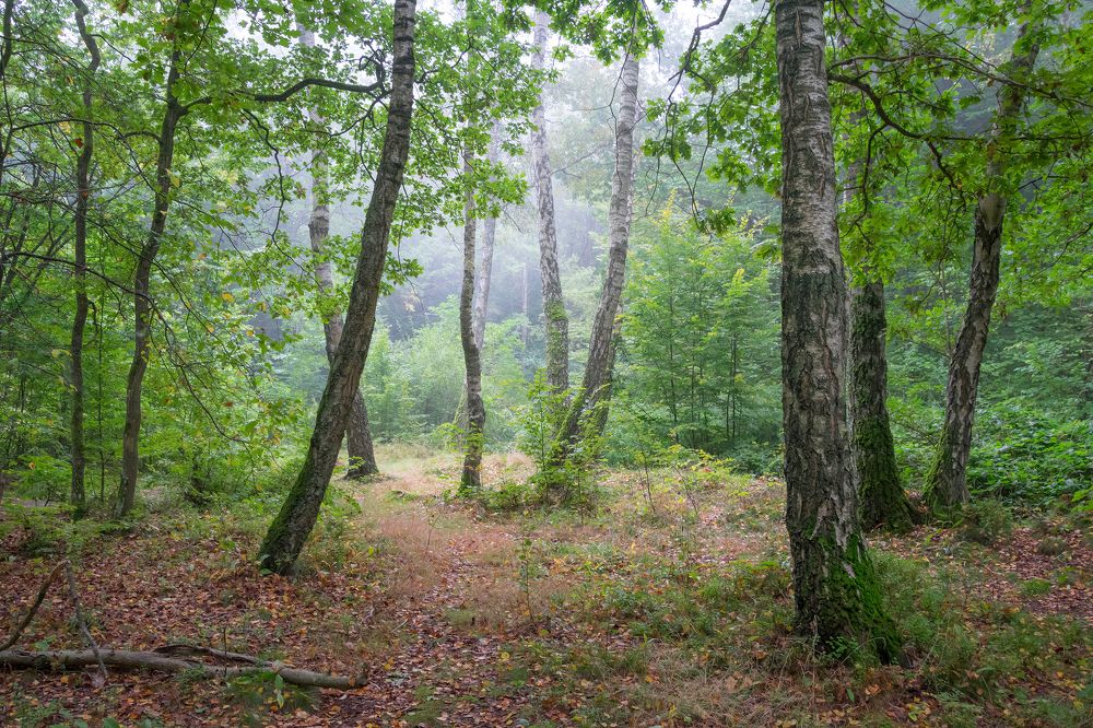 Photograph by Сипаева Катерина