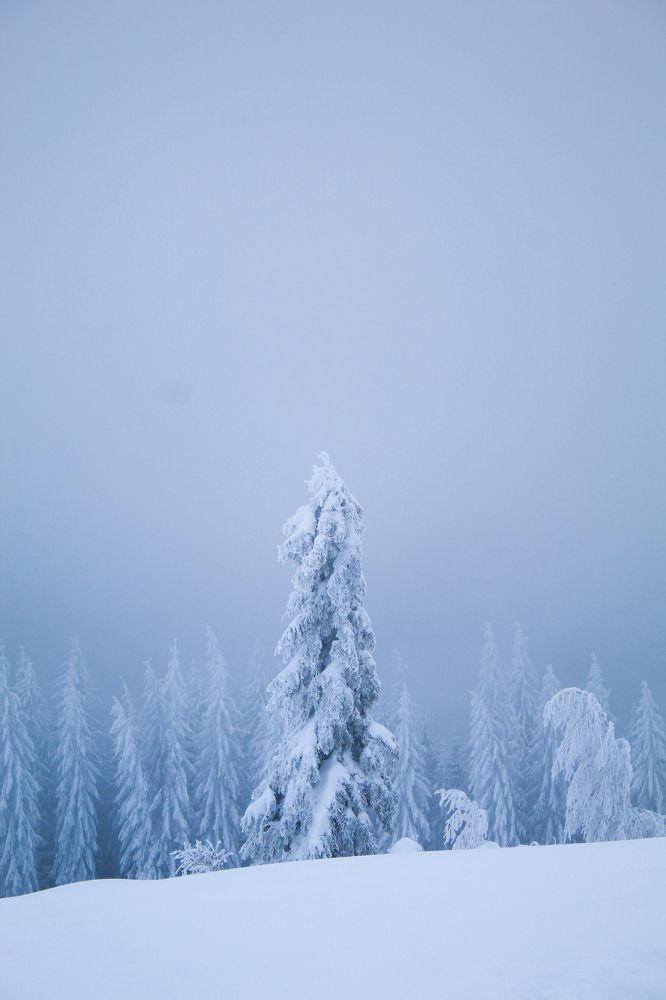 Фотография автора Наталія Савка