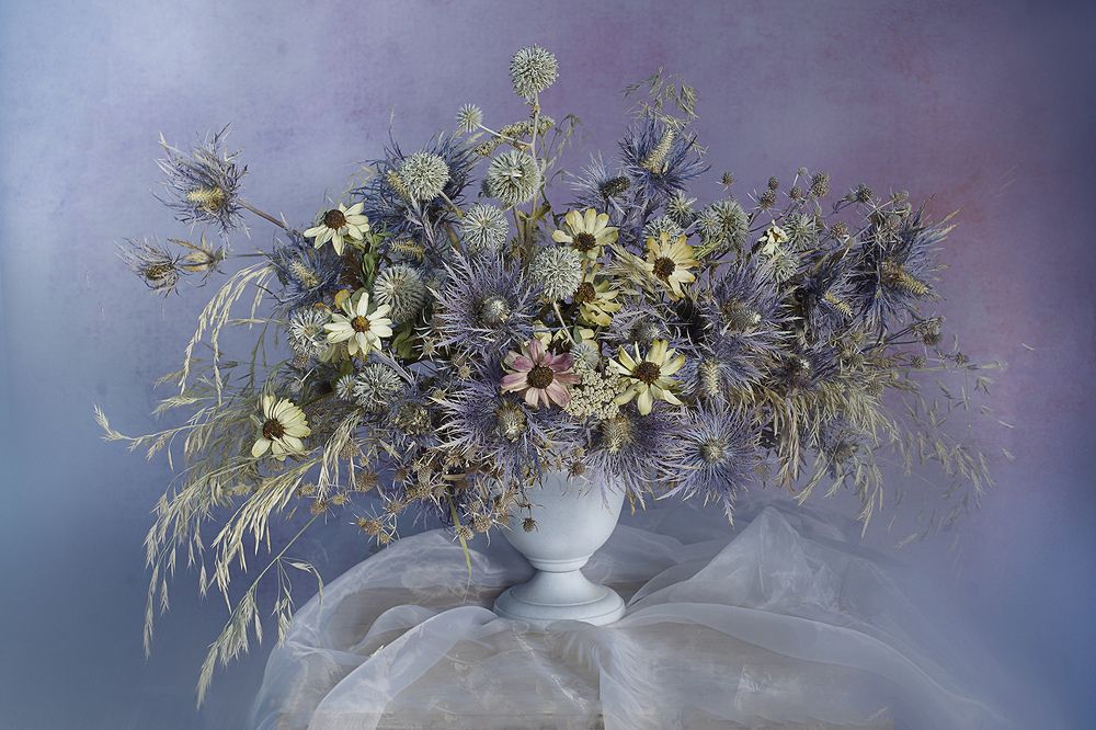 Photograph by Вера  Павлухина