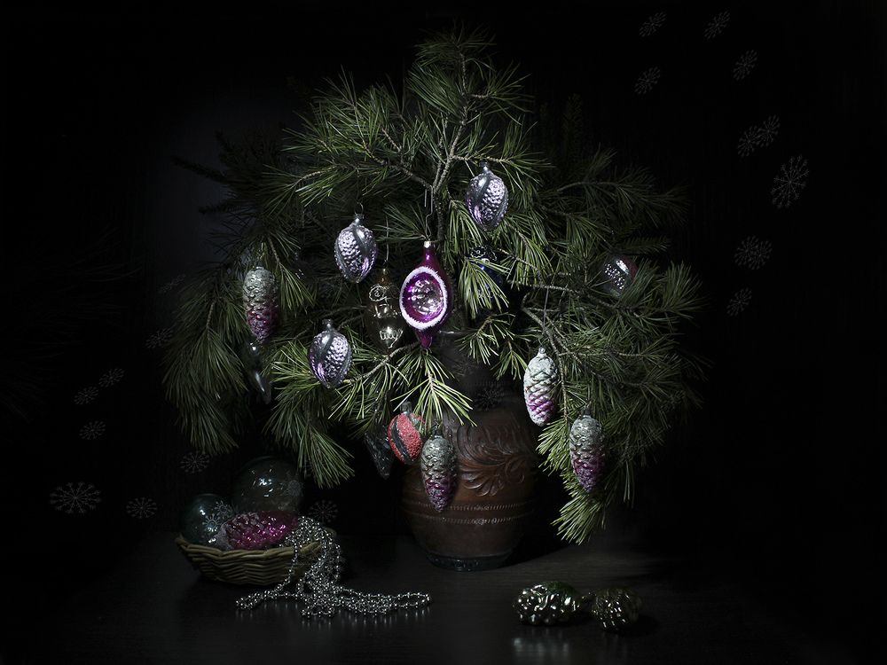 Photograph by Вера  Павлухина