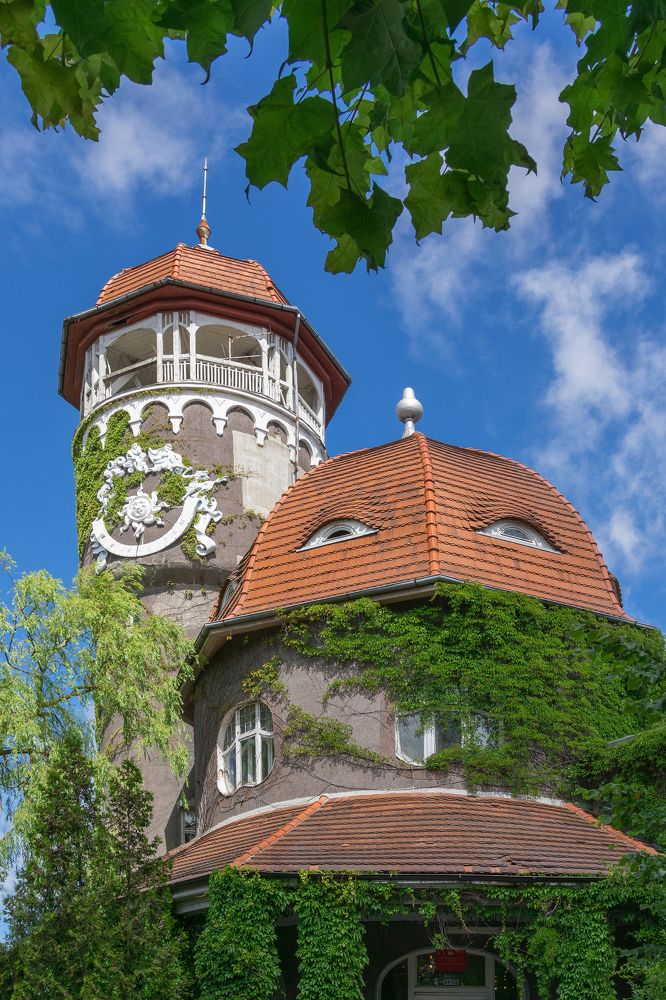 Photograph by Сипаева Катерина