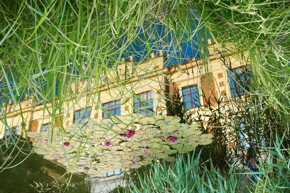 Photograph by Дима Городилов