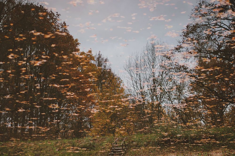 Photograph by Liliya Rodionova