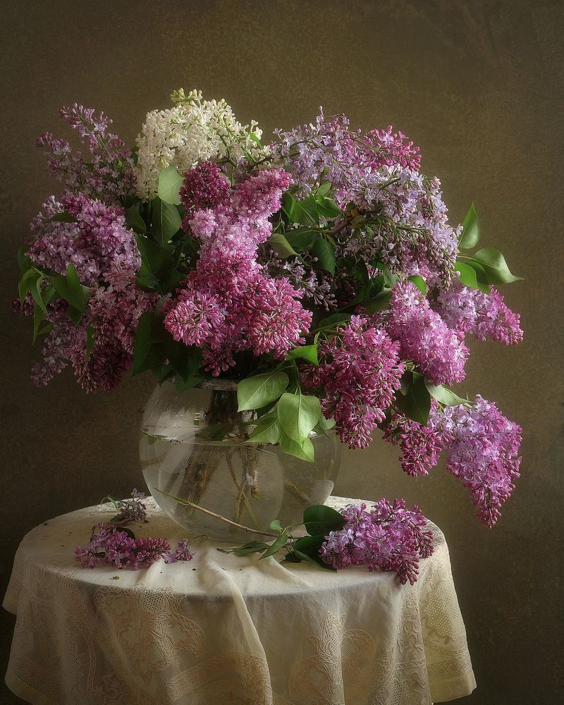 Photograph by Сергей Алексеев