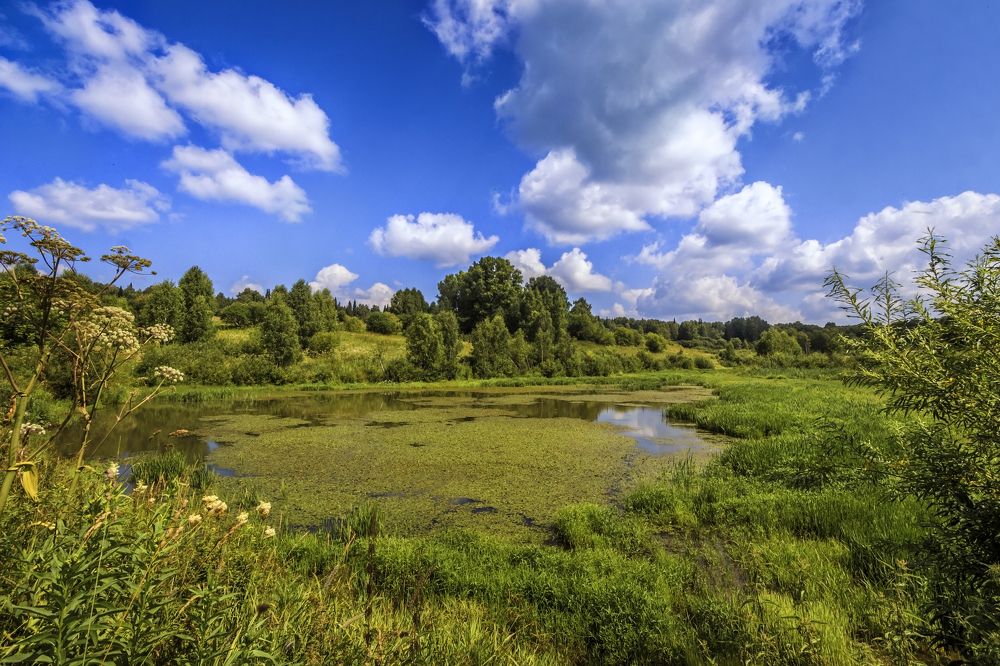 Алтайский край.
