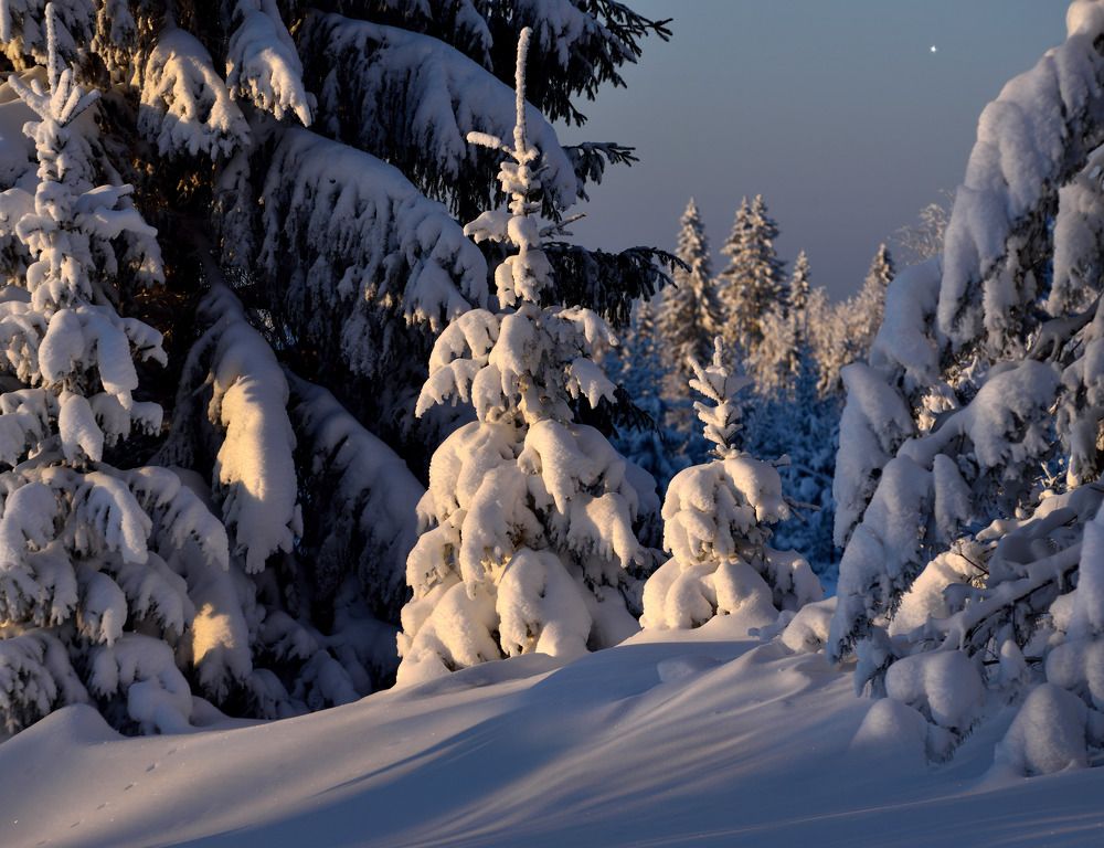 Photograph by Andrey  Zykin