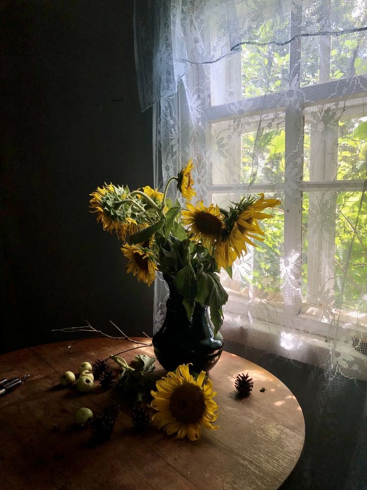 Подсолнухи