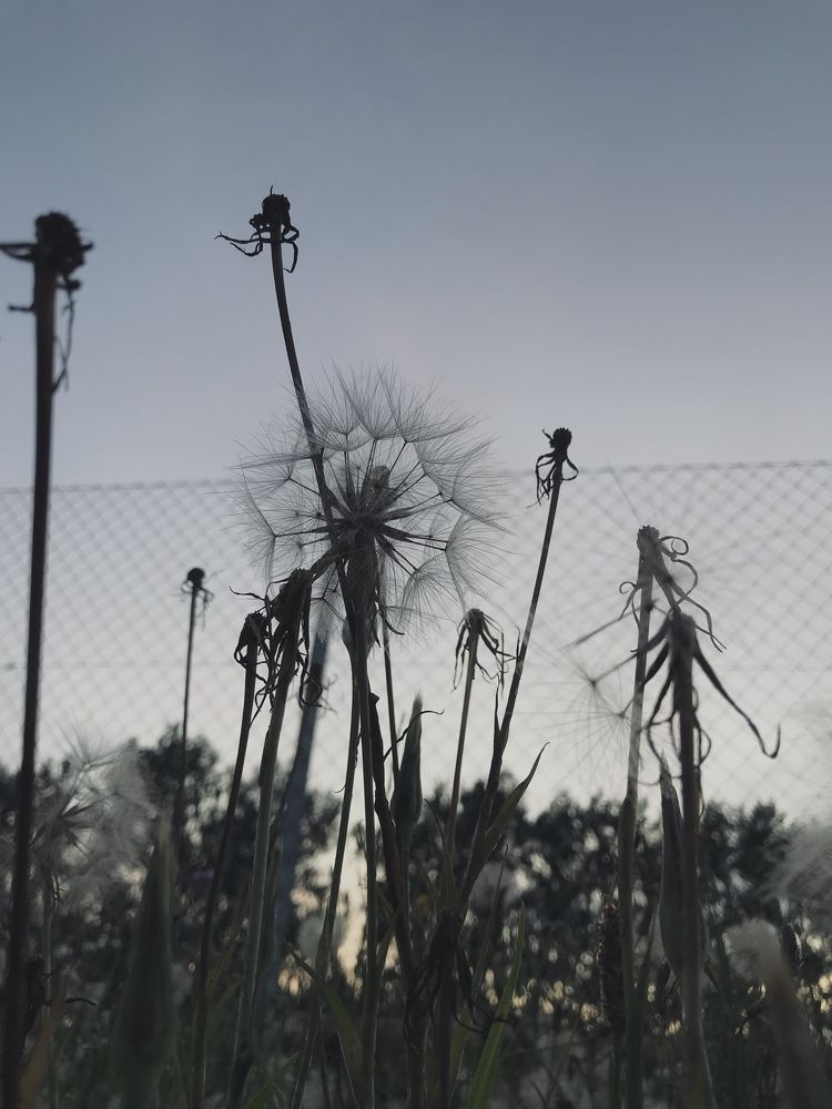 Photograph by Valentina Jegorova