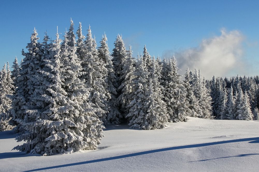 Photograph by Alexander Kalenski