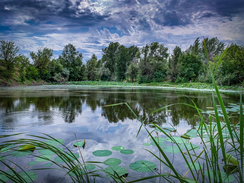 Photograph by Александр Ковалев