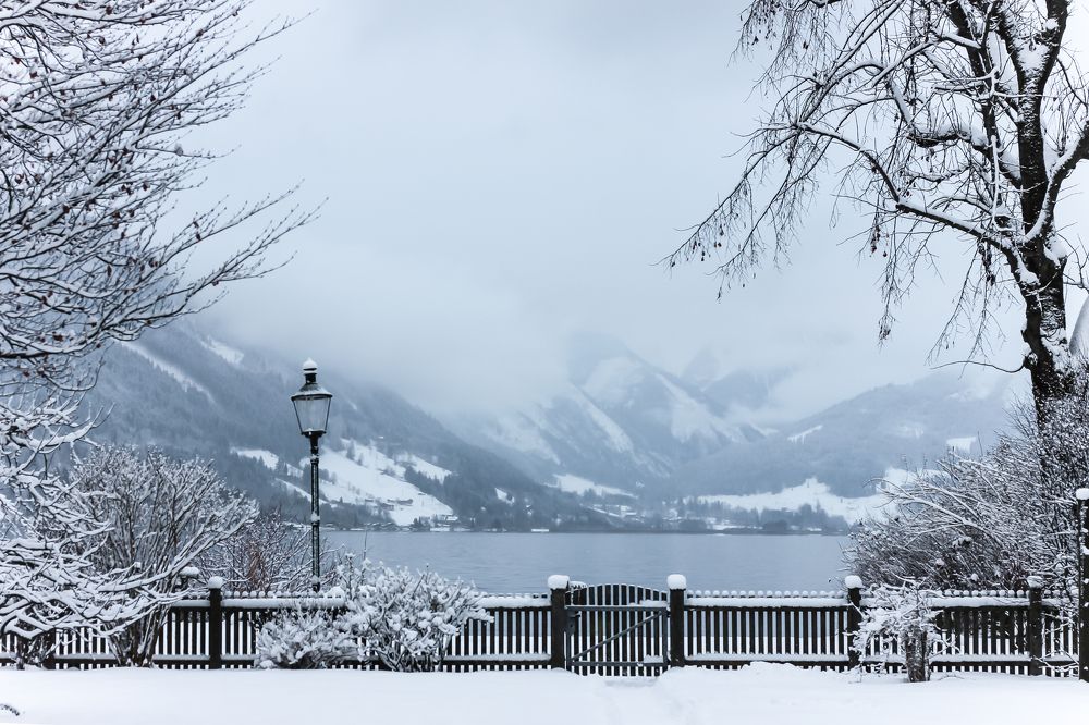 Фотография автора Мария Сурмачева