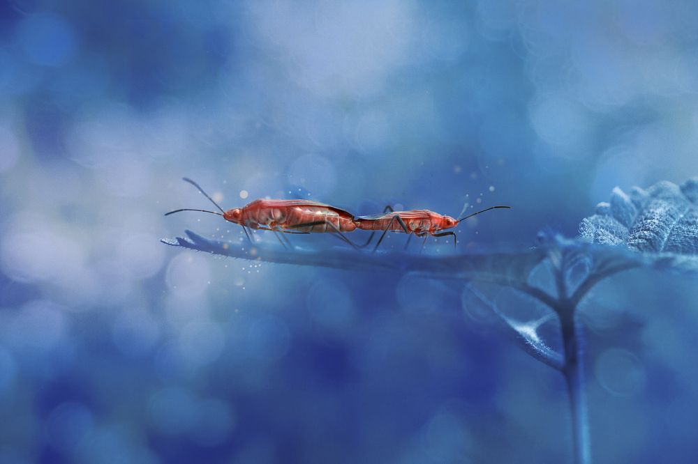 Photograph by Hemraj Chavhan A