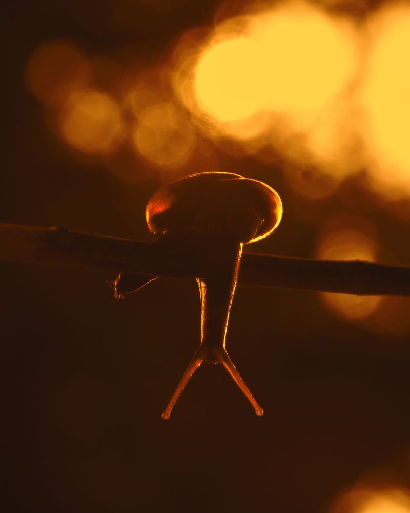 Photograph by Hemraj Chavhan A