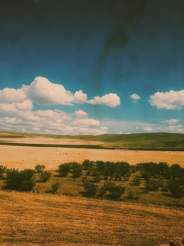 Фотография автора Grigman