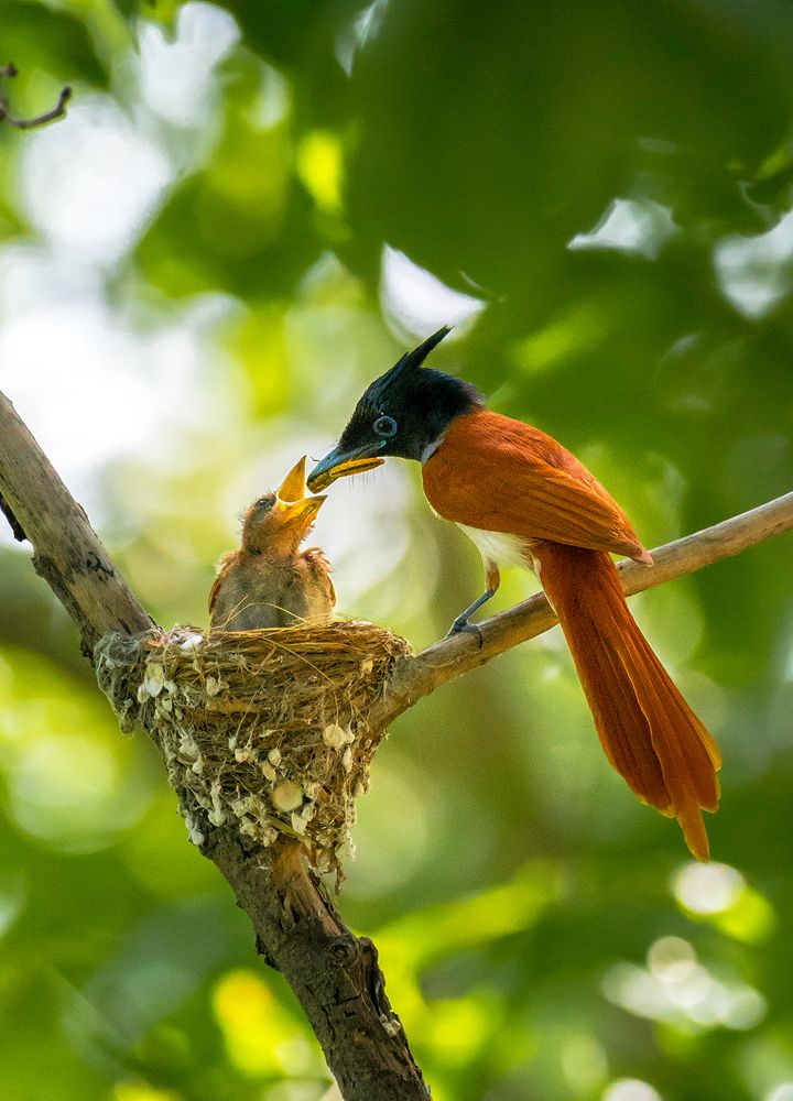 Life doesn't come with a manual, it comes with a mother ?