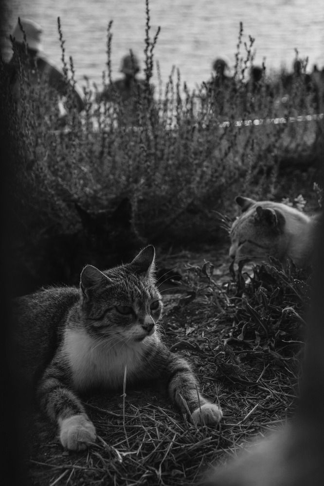 Photograph by Мария Неустроева