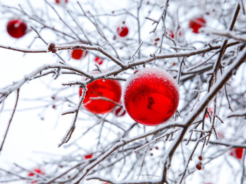 Photograph by Людмила Аксенова