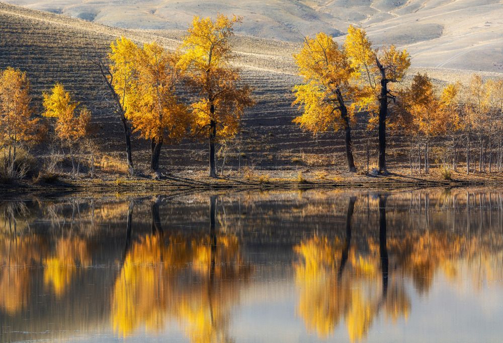 Photograph by Алексей Кретов