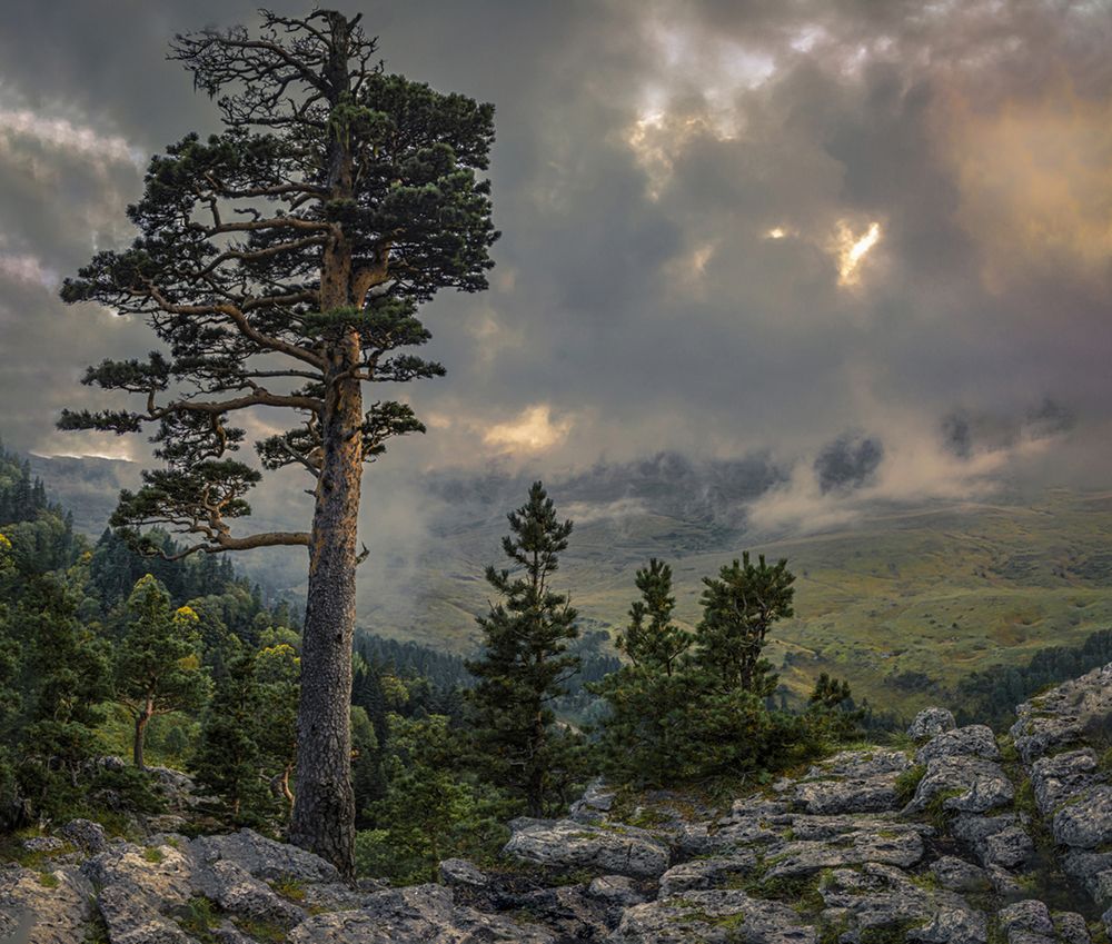 Photograph by Anatoly